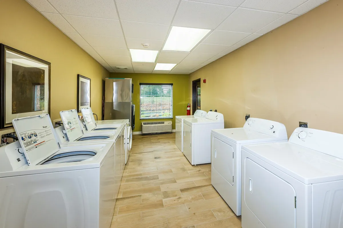 A practical, organized laundry facility is shown here, with several washing machines and dryers lining one wall, large windows bringing in natural light, and a clean, accessible layout. The mood is functional yet comfortable, reflecting the convenience of on-site self-serve laundry.